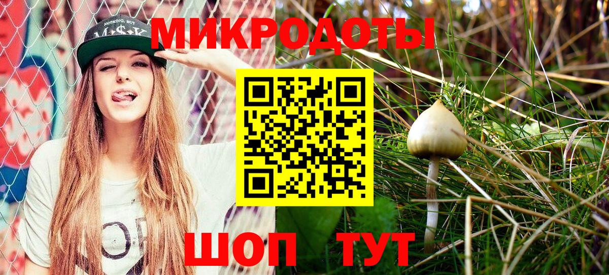 Псилоцибиновые грибы Cubensis Касимов